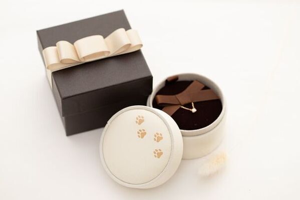 オレフィーチェ 猫の日に特設チャリティーサイトを公開　動物好きにはたまらない「肉球ジュエリーBOX」の発売も