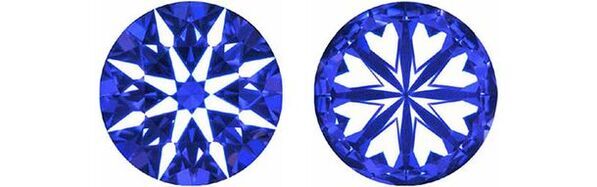 オレフィーチェ 猫の日に特設チャリティーサイトを公開　動物好きにはたまらない「肉球ジュエリーBOX」の発売も