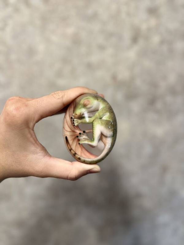 3月20日～5月6日開催「オダイバ恐竜博覧会2024」に恐竜専門店ダイナソーベースが出店！～新商品開発プロジェクトの成果も発表～