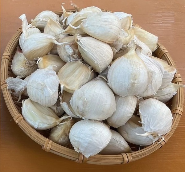 【近鉄百貨店　奈良店】地域に支持され、地域と共に成長・発展する「地域共創型タウンセンター」への転換を目指します奈良店　春の改装について