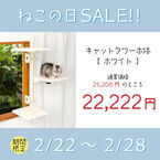 2月22日「猫の日」にちなんで、窓枠に取付けるキャットタワー『ねこゴロン』がお得に購入できるセールを開催！
