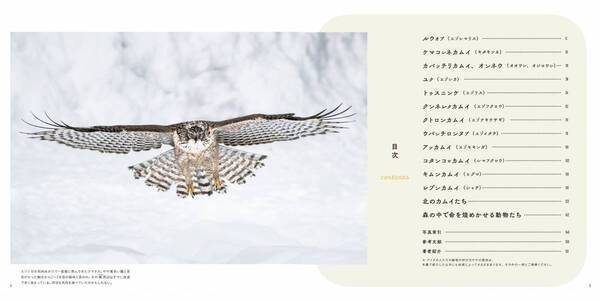 写真集『カムイ』発売中著者：半田菜摘　発行：日経ナショナル ジオグラフィック