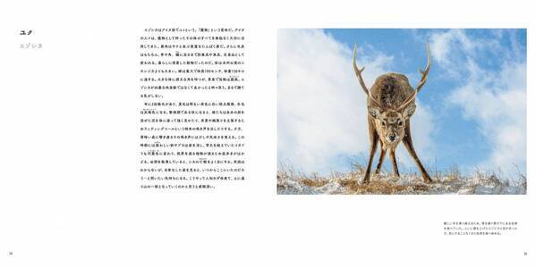 写真集『カムイ』発売中著者：半田菜摘　発行：日経ナショナル ジオグラフィック