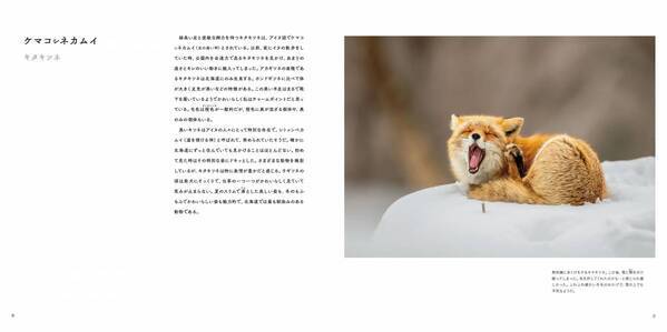 写真集『カムイ』発売中著者：半田菜摘　発行：日経ナショナル ジオグラフィック