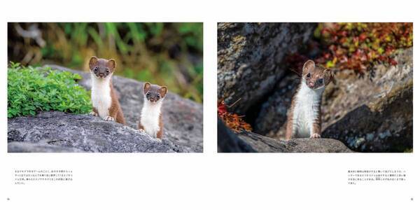 写真集『カムイ』発売中著者：半田菜摘　発行：日経ナショナル ジオグラフィック