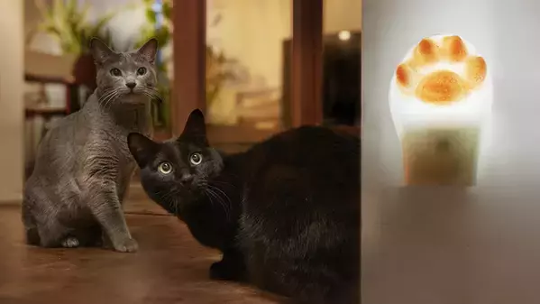 猫好きの声から生まれた肉球型ランプ『Paw』(パウ)2月22日(木)猫の日にMakuakeにて先行発売開始！