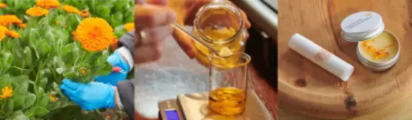 週末旅にピッタリな千葉県・安房地域で一足先に“春”を満喫♪新施設オープンや春を感じるイベントも開催！