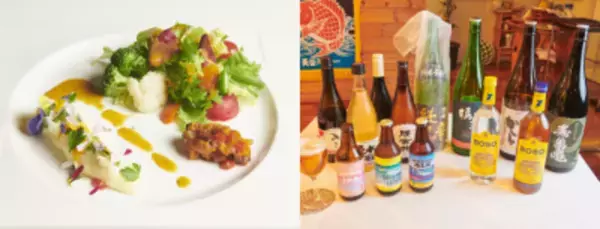 週末旅にピッタリな千葉県・安房地域で一足先に“春”を満喫♪新施設オープンや春を感じるイベントも開催！