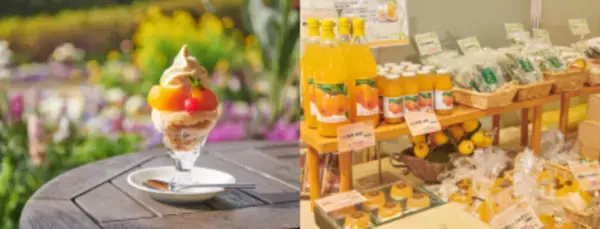 週末旅にピッタリな千葉県・安房地域で一足先に“春”を満喫♪新施設オープンや春を感じるイベントも開催！