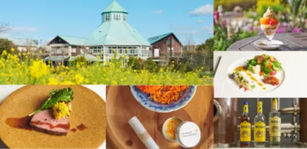 週末旅にピッタリな千葉県・安房地域で一足先に“春”を満喫♪新施設オープンや春を感じるイベントも開催！