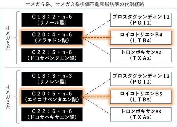 【オリーブオイル健康ラボ 季節のおすすめ情報コラムを公開】毎日の食卓でできる花粉症対策！EPAを味方につけて、オリーブオイルでアレルギー反応を軽減