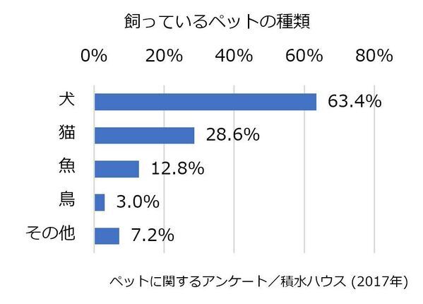 生活に潤いや安らぎをもたらす、愛犬との暮らしをもっと心地よくする住まいづくり