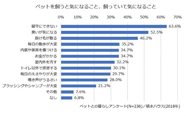 生活に潤いや安らぎをもたらす、愛犬との暮らしをもっと心地よくする住まいづくり