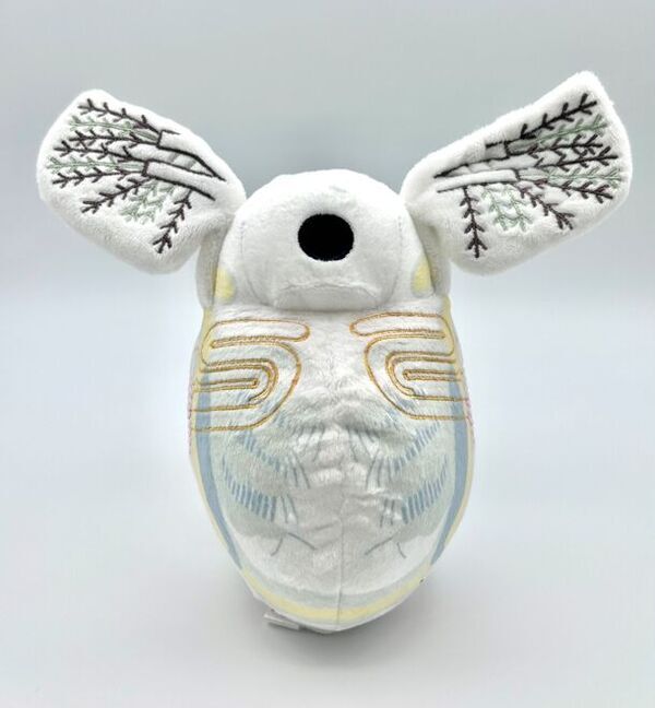 特別展「海 ―生命のみなもと―」　名古屋市科学館で3月16日(土)から開催　よりお楽しみいただくための関連情報を新たに公開！