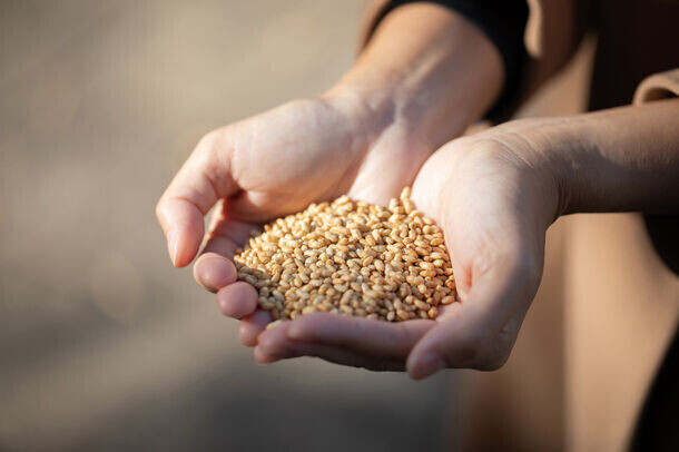 BURDIGALA(ブルディガラ)から“FANCLの発芽米”を使用した『発芽玄米フォカッチャ』を3月1日(金)に新発売