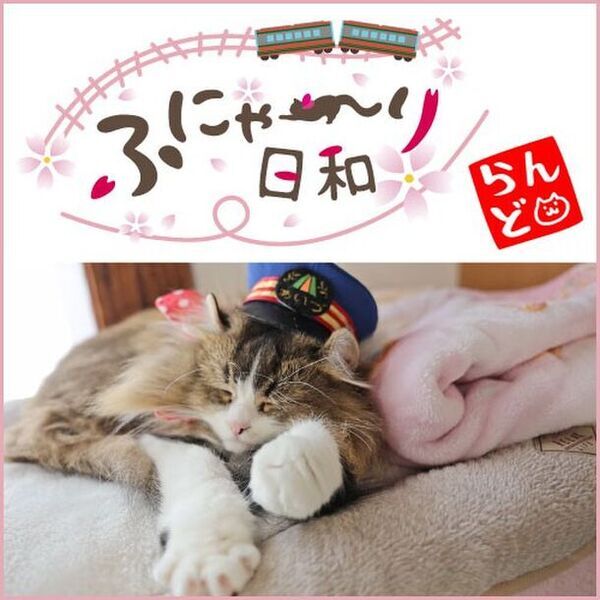 福島県最大級の総合エンタメイベント！「中テレ祭り2024」開催！テレビで活躍中の人気芸能人たちが続々登場！全国有名店グルメ勢ぞろいの5日間！