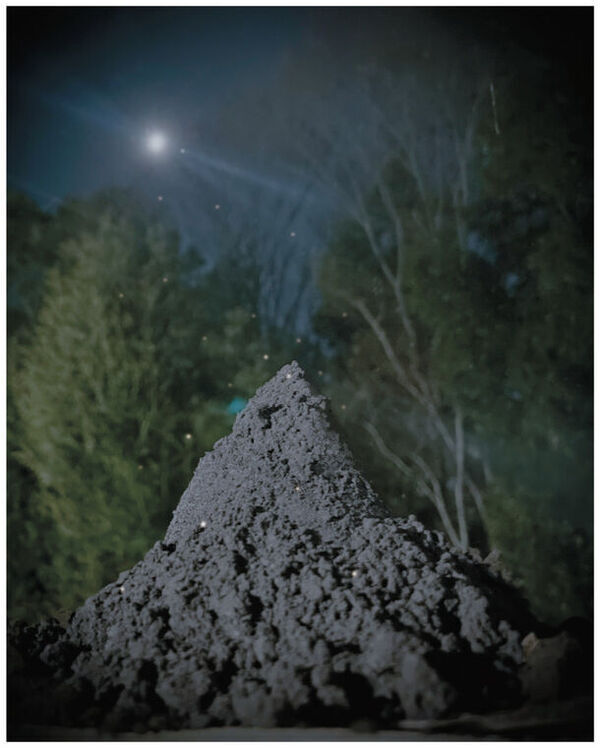 “毛穴汚れに魔法をかける。”3種の炭を従来の6倍配合！「魔女のブラック手作り洗顔石鹸」を2/29(木)より先行発売