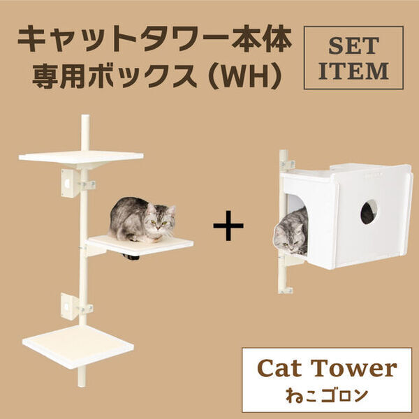 窓枠取付け型キャットタワー「ねこゴロン」を販売するユニークライフ公式ショップが1周年感謝セールを3月1日から開催