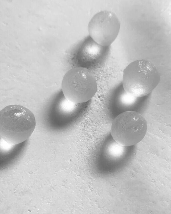 Etsuko Sonobe×彗星菓子手製所のコラボ企画　インスタレーション・受注会・茶菓の会を3月8日～開催