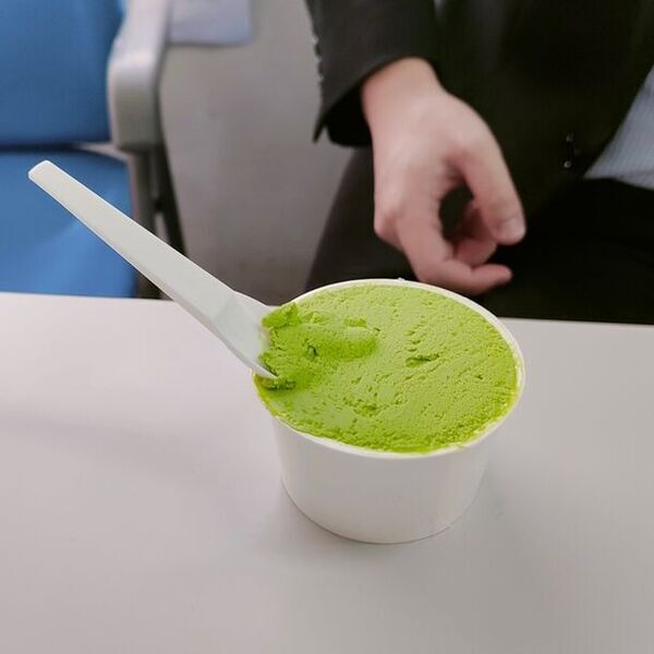 ご好評につき第2弾の発売が決定！J-CreationのアテンダントとJR-PLUSの新幹線パーサーが共同選定した新幹線のアイスに新フレーバー「京都宇治抹茶」が3月16日に登場！