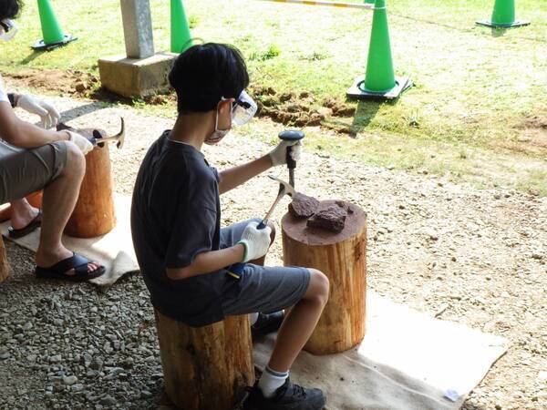 福井県立恐竜博物館の先生の解説を直接聞ける！specialギャラリートーク実施決定！恐竜はもちろん！ 延伸北陸新幹線も体験できる！お台場エリアをめぐる「オダイバ周遊スタンプラリー」実施！春のオダイバを1日中、遊びつくそう！！