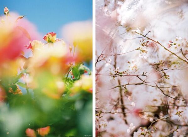 アニエスベー ギャラリー ブティックにおいて「La lumiere」展を3月9日より開催