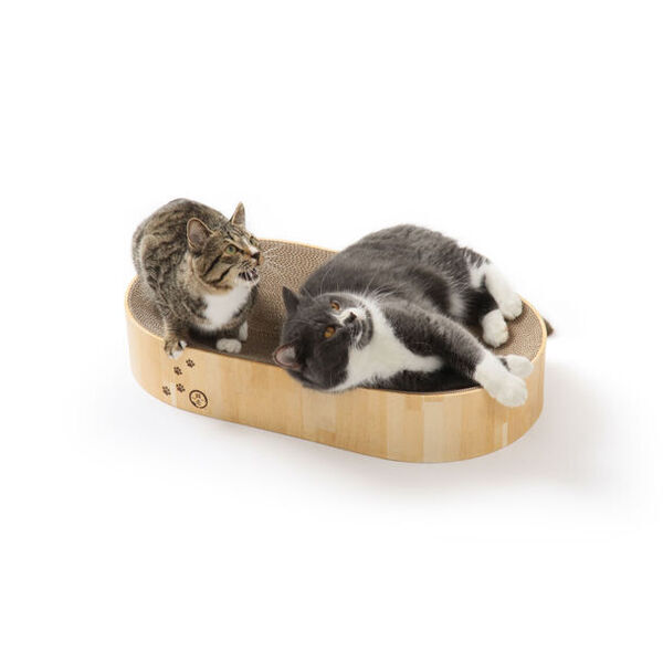 累計74万個突破！猫工学デザインで大人気のつめとぎベッド「バリバリボウル」に、両手両足をしっかりのばしてつめとぎができる横長設計で置き場所を選ばない「オーバル」タイプが新登場