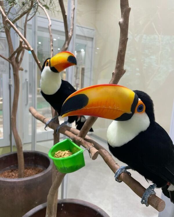 「東京ソラマチ(R)」のアニマルプレイグラウンド「ラブリー・アニモア」が3月17日に誕生一周年！～来場者数10万人を突破～