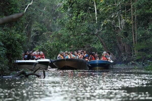 子どもたちが東南アジア最高峰「キナバル山」登山に挑戦　“地球共生”を題材にした特別なキャンプを開催