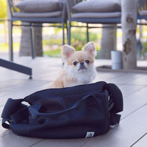 ペットとの避難にも！ママ・ベビー用品メーカーが作る防災にも役立つマルチユースペット抱っこ紐が2024年4月再入荷！