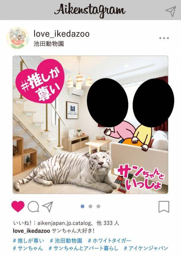 3/17ホワイトタイガー「サン」生誕祭＠池田動物園(岡山県)「堅実なアパート経営」アイケンジャパンが協賛イベントを開催