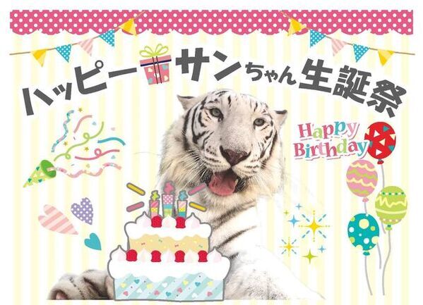 3/17ホワイトタイガー「サン」生誕祭＠池田動物園(岡山県)「堅実なアパート経営」アイケンジャパンが協賛イベントを開催