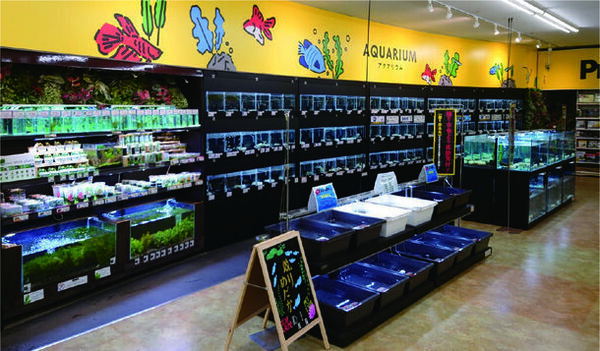 東京都品川区 ウィラ大井 新館が4月26日(金) New Open！マタニティ用品やアウトドア・ペットショップが新規出店　～さらに楽しく、もっと便利に～