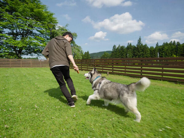 桜の開花予想は4月上旬！日光のグランピングリゾートで“夜桜ライトアップ”のお花見企画を実施！