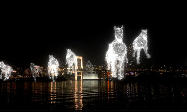 お台場の夜空に映し出される3D映像作品　光と音で奏でるAirMappingShow EDOを初公開