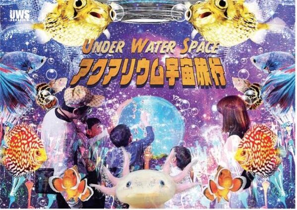 mozo ワンダーシティ 15周年　mozo WONDER CITY 15th ANNIVERSARYを開催