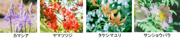 ROKKO 森の音ミュージアムミュージアム＆ガーデンイベントスケジュール発表30周年を記念したイベントも実施