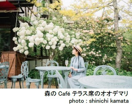 ROKKO 森の音ミュージアムミュージアム＆ガーデンイベントスケジュール発表30周年を記念したイベントも実施