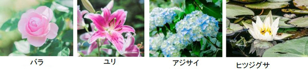 ROKKO 森の音ミュージアムミュージアム＆ガーデンイベントスケジュール発表30周年を記念したイベントも実施