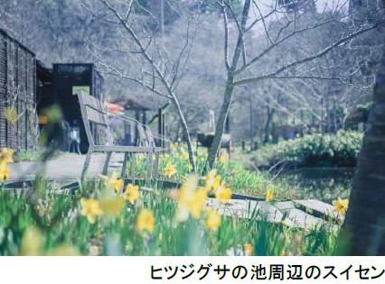 ROKKO 森の音ミュージアムミュージアム＆ガーデンイベントスケジュール発表30周年を記念したイベントも実施