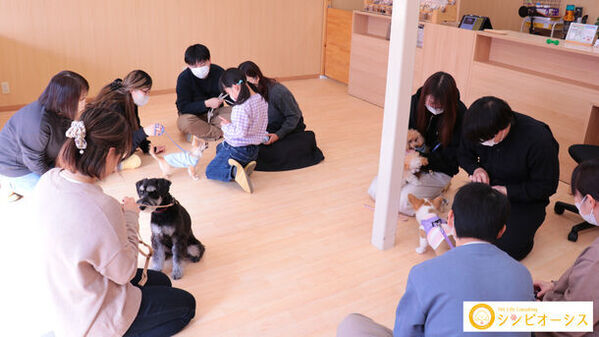 【犬しつけ】社交パーティー週3開催中！人・犬慣れでお悩み＆事故0へ