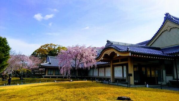 醍醐の花見で有名な世界文化遺産 醍醐寺で特別拝観を開催　期間中は様々な法要や特別拝観イベントを実施