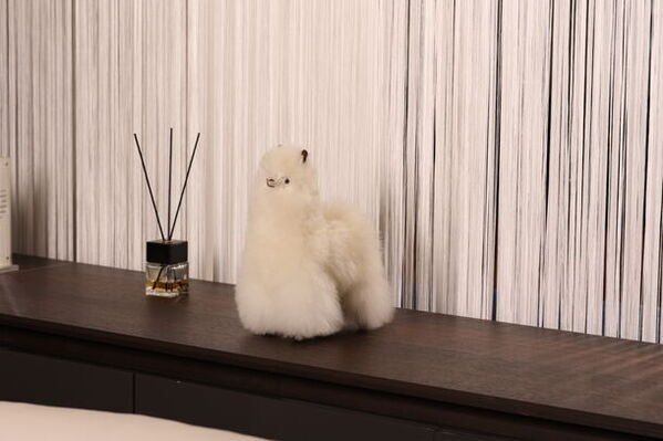 「幸せを運ぶアルパカ」が新生活を応援！天然毛使用の“ぬいぐるみ”などが25％OFFになるキャンペーンを開始