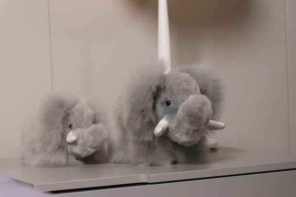 「幸せを運ぶアルパカ」が新生活を応援！天然毛使用の“ぬいぐるみ”などが25％OFFになるキャンペーンを開始