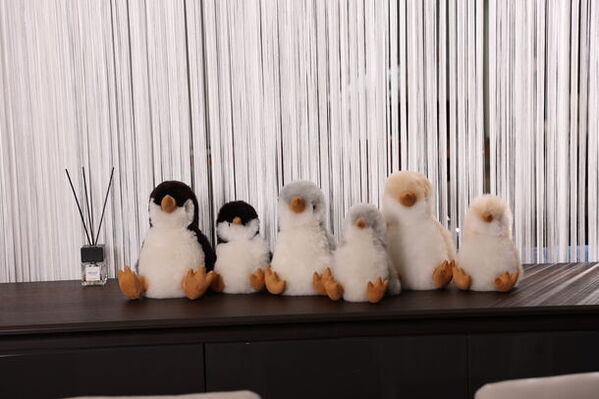 「幸せを運ぶアルパカ」が新生活を応援！天然毛使用の“ぬいぐるみ”などが25％OFFになるキャンペーンを開始