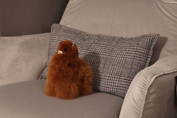 「幸せを運ぶアルパカ」が新生活を応援！天然毛使用の“ぬいぐるみ”などが25％OFFになるキャンペーンを開始