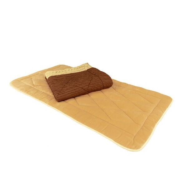 身体と心を整え、明日への力を育む『至福の眠り』へ誘う機能性素材「プラチナウェーブ」使用の寝具「KAIMIN STORY プラチナ」新発売