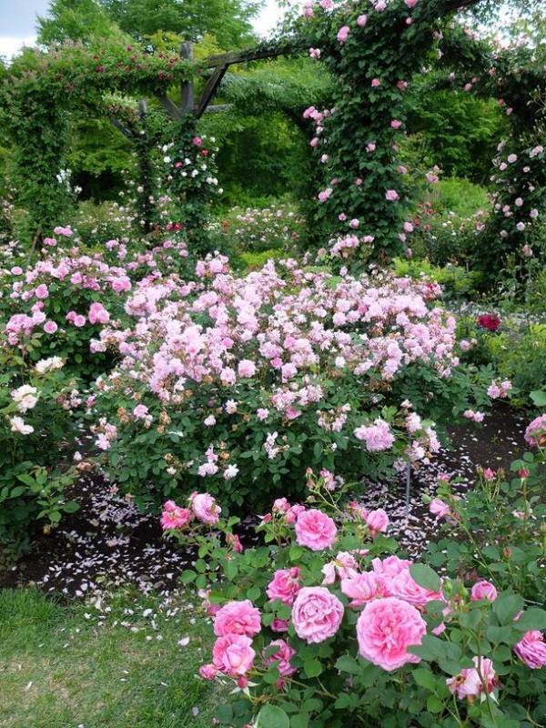 2024年「軽井沢レイクガーデン」開園期間のお知らせ　4月19日(金)から11月4日(月・祝)まで