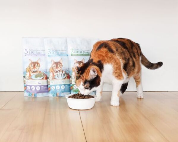 80万食突破の大人気機能性ペットフード「REAL POWER」のECサイトがオープン！～スッポン肉使用のドッグフードプレゼント企画も同時開催～