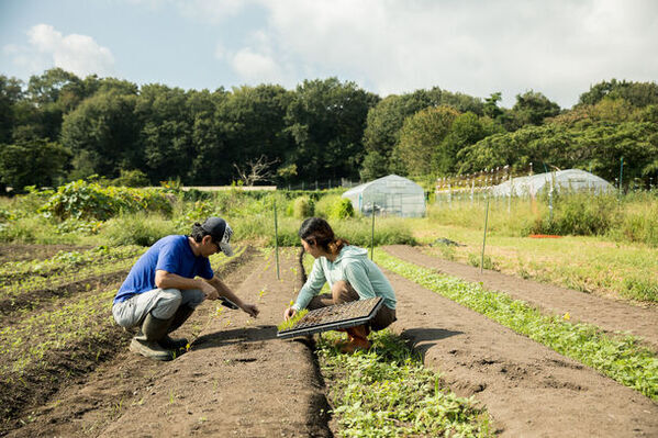 滋賀県の農産物を使用した「manma 四季のベビーフード」　完全リニューアルし、2024年3月より本格販売開始